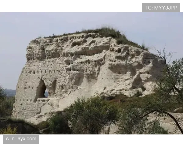 瓦伦西亚防线固若金汤，稳健表现筑起坚不可摧的防守壁垒